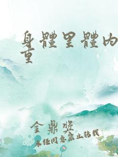 身体里体内湿气重