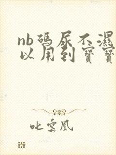 nb码尿不湿可以用到宝宝几个月