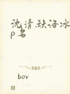 沈清秋洛冰河cp名