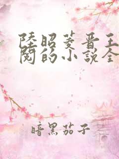 陆昭菱晋王周时阅的小说全文免费阅读无弹窗