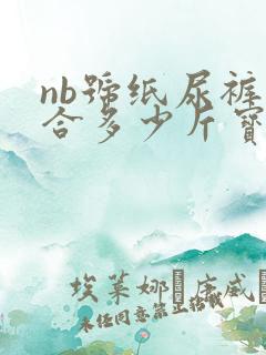 nb号纸尿裤适合多少斤宝宝用