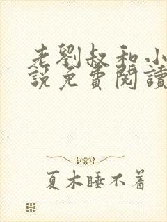 老刘叔和小兰小说免费阅读最新章节