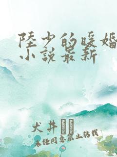 陆少的暖婚新妻小说最新