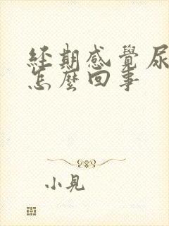 经期感觉尿频是怎么回事