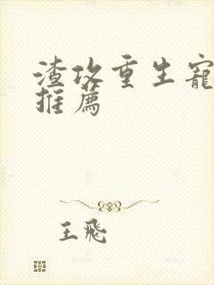 渣攻重生宠受文推荐