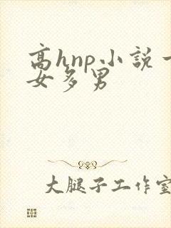 高hnp小说一女多男