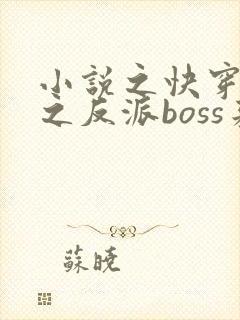 小说之快穿系统之反派boss来袭