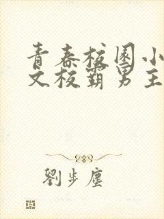 青春校园小说甜文校霸男主