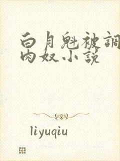 白月魁被调教成肉奴小说