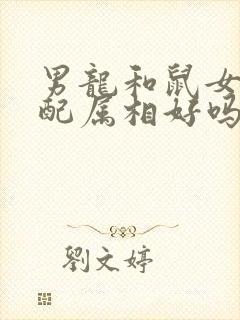 男龙和鼠女的婚配属相好吗