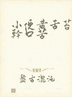 小便黄舌苔黄口干口苦