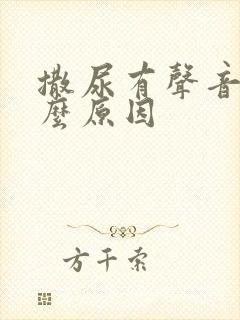 撒尿有声音是什么原因