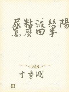 尿粘液丝阳性是怎么回事