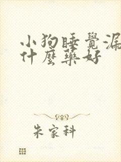 小狗睡觉漏尿吃什么药好