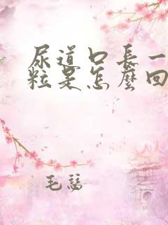 尿道口长一个肉粒是怎么回事