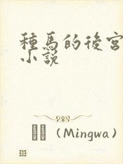 种马的后宫三千小说