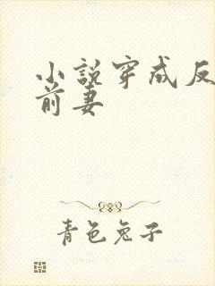 小说穿成反派他前妻