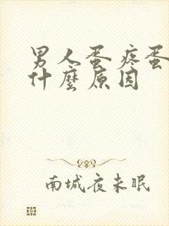 男人蛋疼蛋肿是什么原因