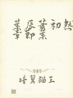 叶辰萧初然最新章节叶