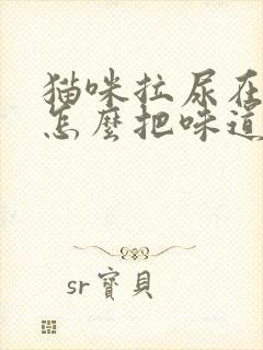 猫咪拉尿在床上怎么把味道弄掉