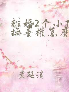 离婚2个小孩子抚养权怎么判定