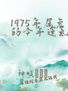 1975年属兔的今年运气如何