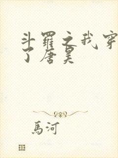 斗罗之我穿越成了唐昊