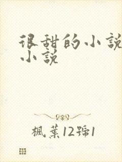 很甜的小说总裁小说