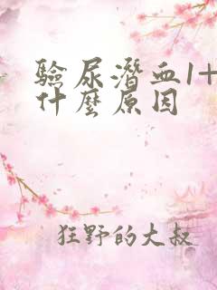 验尿潜血1+是什么原因