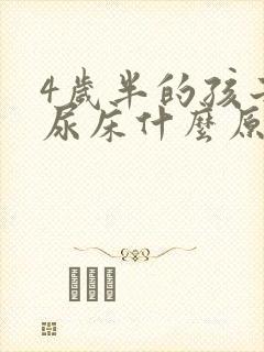 4岁半的孩子还尿床什么原因