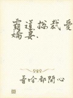 霸道总裁爱上小娇妻.