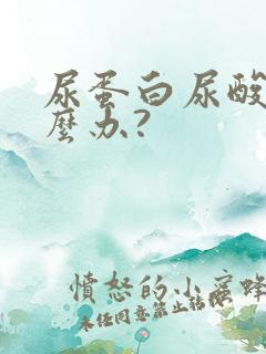 尿蛋白尿酸高怎么办?