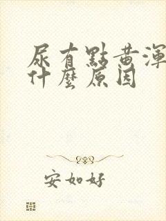 尿有点黄浑浊是什么原因