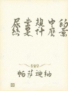 尿常规中的粘液丝是什么意思