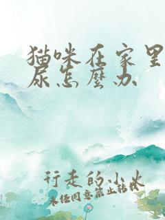 猫咪在家里乱拉尿怎么办