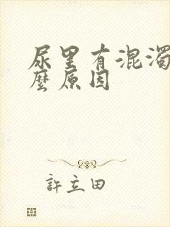 尿里有混浊物什么原因