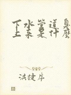 下水管道臭味反上来是什么原因