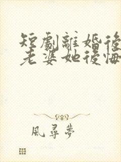 短剧离婚后总裁老婆她后悔了