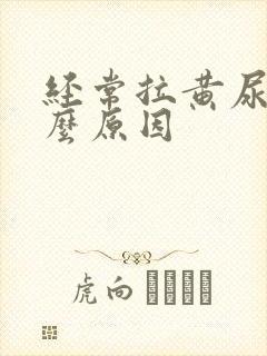 经常拉黄尿是什么原因