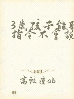3岁孩子能听懂指令不会说话怎么办