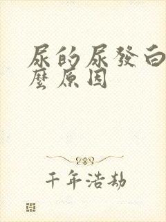 尿的尿发白是什么原因