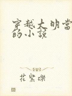 穿越大明当暴君的小说