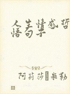 人生情感哲理感悟句子