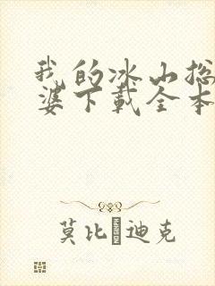我的冰山总裁老婆下载全本txt