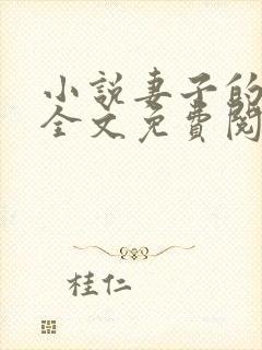 小说妻子的秘密全文免费阅读全文