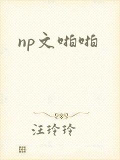 np文啪啪