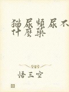 猫尿频尿不出吃什么药