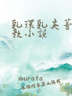 乳环乳夹蒂环调教小说