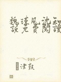 魏瑾风沈知玉小说免费阅读最新章节