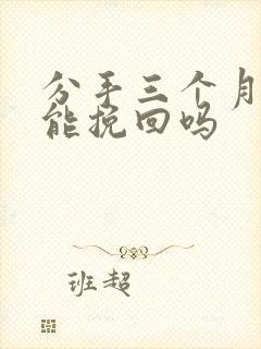 分手三个月了还能挽回吗